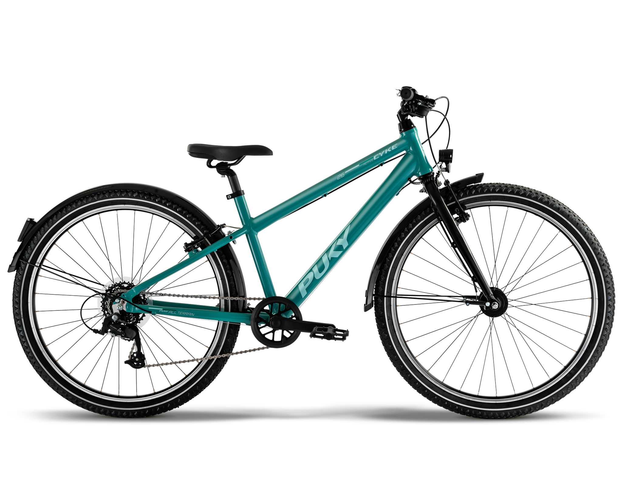 Fahrrad, Mountainbike, Tealfarben, Damen-/Herrenrad, Kettenschaltung, 