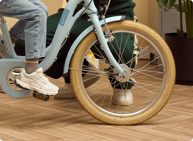 Rad, Schuh, Hartholz, Holz, Pflanze, 